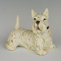 Scottish Terrier by Bravo Italy white 12in L