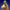 Giant Nativity Set - 22 piece 6 foot scale