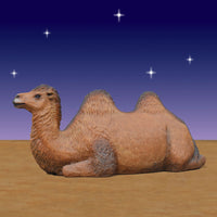 Resting Camel 45 inch height - 6 ft scale