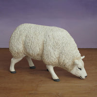 Life Size Grazing Sheep 41in. W 26in. High