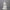 Ivory King Melchior Life Size  - 54in. scale