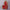 Santa Throne 64in