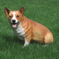 Sitting Corgi dog Statue 17.5 in H