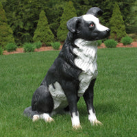 Border Collie Statue 28 in H