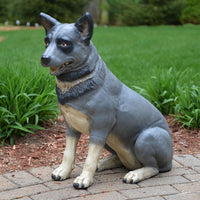 Sitting Blue Heeler Statue 25 in H