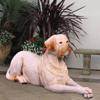 Resting Yellow Labrador Statue 46 in L