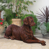 Resting Chocolate Labrador Statue 46 in L