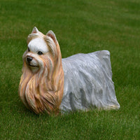 Yorkshire Terrier Statue 15 in H
