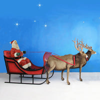 Life Size Santa, Sleigh & 2 Reindeer 8 ft W