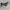 Husky, Sled, Polar Bear Cub and Teddy Display  104 ins L