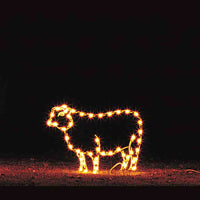 Nativity C7 LED Light Display - 3 ft Standing Sheep
