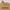 Small Real Life Donkey, Ox, Sitting and Standing Camels 10in. scale