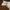 Standing Lamb (54in. scale) - Fiberglass (17in.H)