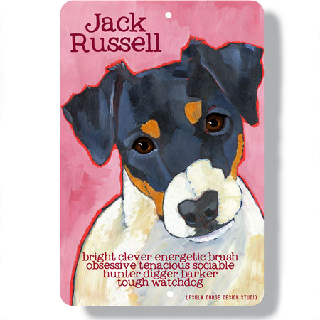 Jack Russell dog
