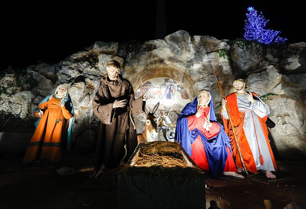 Nativity scene and Christmas tree in St. Peter's Square