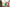 Christmas Night Inc. - The Beginning