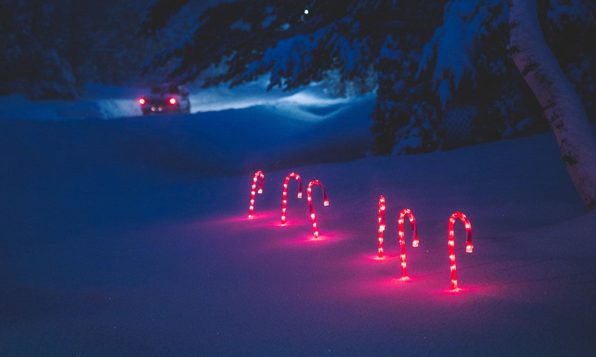 Lighted candy canes in snow