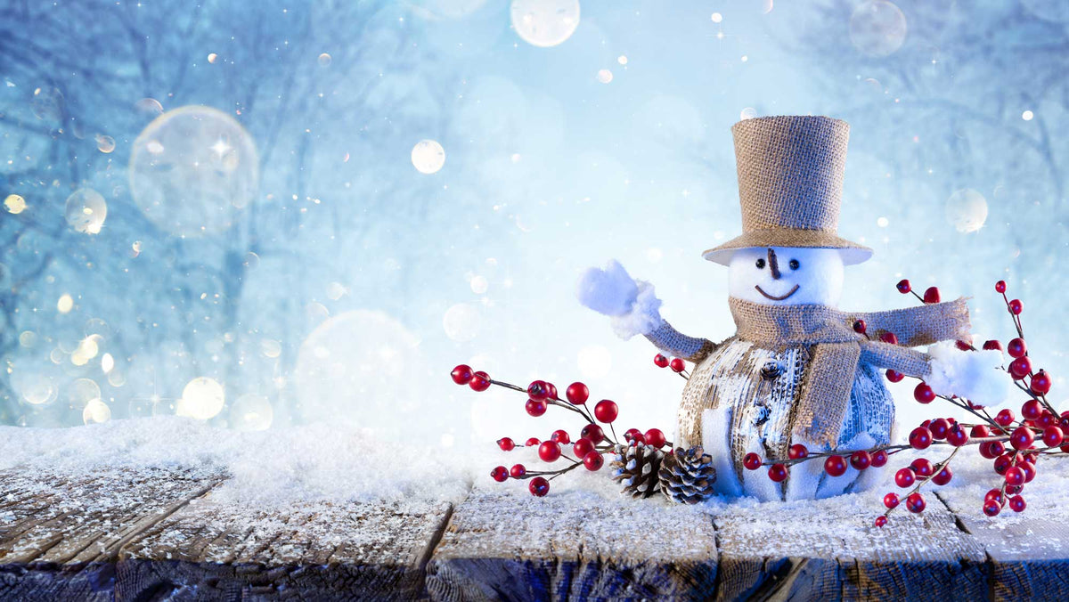 Outdoor snowmen