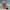 Outdoor Santas