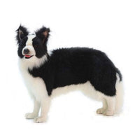 Plush Dogs