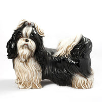 Shih-tzu by Bravo Italy 28in L