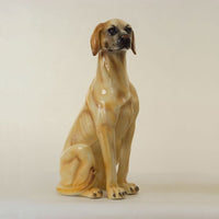 Labrador Retriever by Ceramiche Boxer Italy 30in H