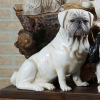Pug Statue  by Bravo Italy 15.4in H