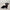 Ceramic Dachshund by Bravo Italy black 14in L