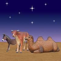 Giant Camel, Donkey and Ox Set 6 ft scale