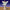Angel of Gloria Life Size 57in.H -  54in. scale Outdoor