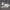 Ivory Resting Lamb - Fiberglass (23in. wide) 54in. scale