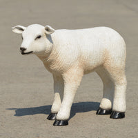 Christmas Little Lamb for 40in. scale Nativity