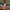 Giant Toy Soldier with Baton  16 ft H