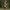 Decorative giant 10 foot toy soldier figure in a park setting with trees and grass.