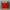 Giant Display Drum 28in.H with blocks (Copy)