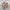 Deluxe Lifelike Outdoor 9 Reindeer Set - 66.5 ins high