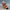 Life Size Santa, Sleigh & 2 Reindeer 8 ft W