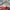 Two-seater Santa Sleigh & Reindeer - 120in. wide