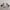 Husky Dog Statues Pair 37in H