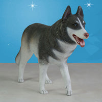 Life size Husky dog Statue 32 in H