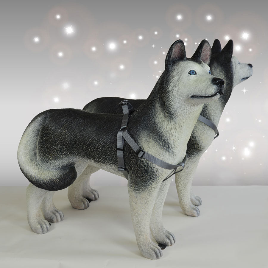 Husky Dog Statues Pair with Harnesses 37in H