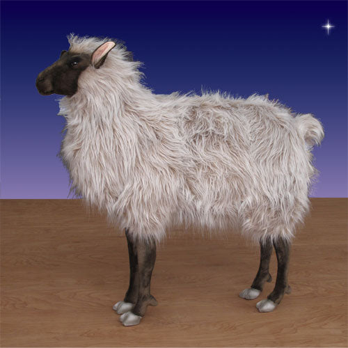 Life Size Hansa Sheep 36in. H Ride-on