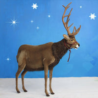 Life Size Hansa Reindeer with Halter 60in.H Ride-on