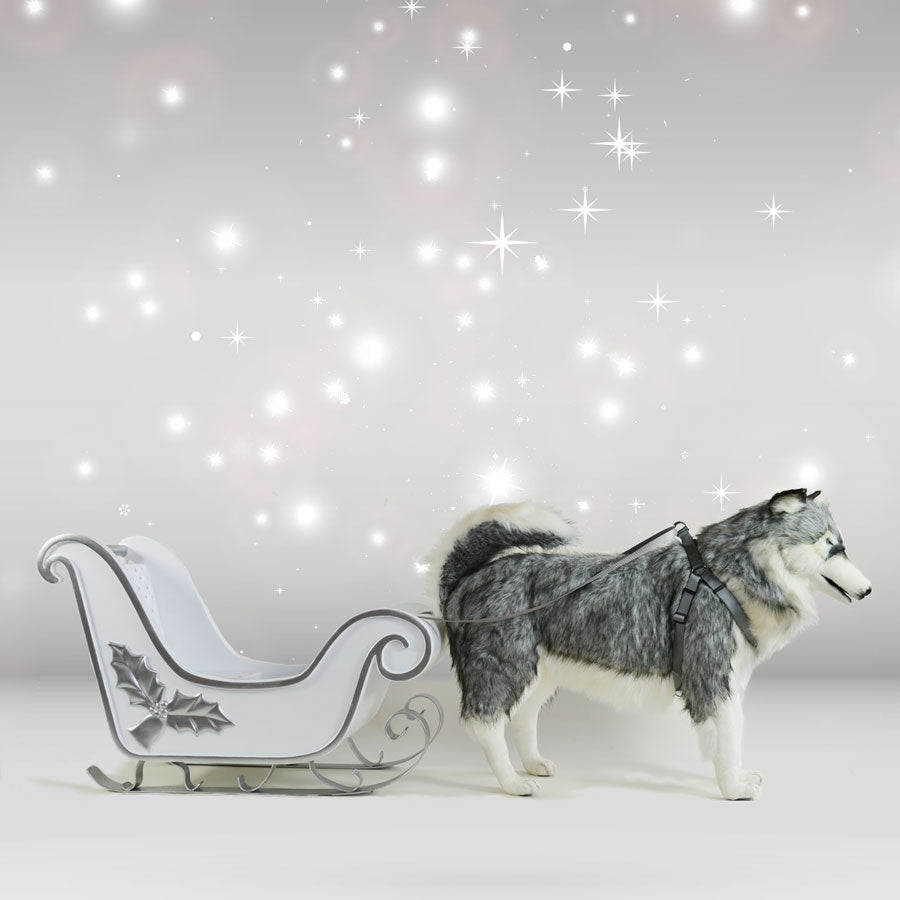 Husky Dog Sled  95 ins L