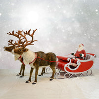 Nordic Reindeer with Santa Sleigh (Silver) 150 ins L