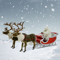 Nordic Reindeer Sleigh and Polar Bear  150 ins L