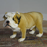 British Bulldog 14in.H from Hansa