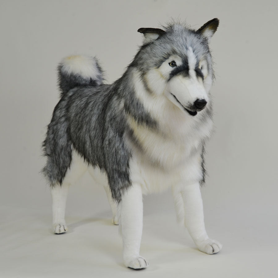 Life Size Plush Gray Husky Dog 33.5in H from Hansa