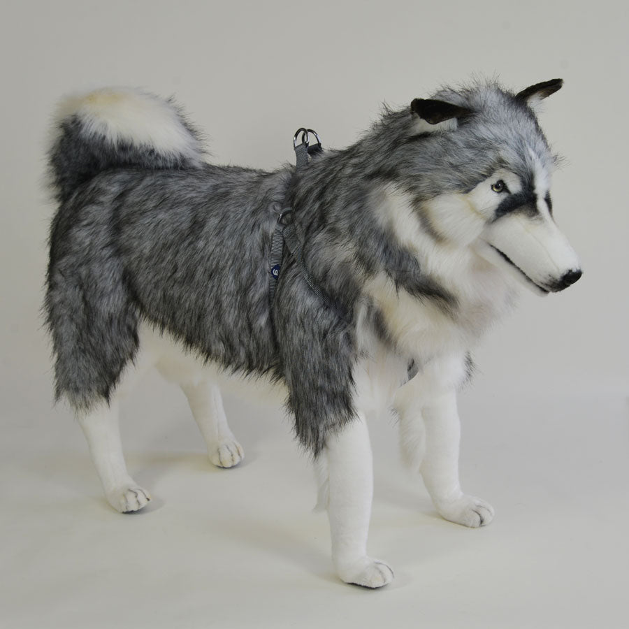 Life Size Plush Gray Husky Dog with Harness 33.5in H from Hansa