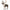 Life Size Nordic Reindeer 65 inch high Ride-on
